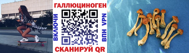 Галлюциногенные грибы Cubensis  блэк спрут ссылки  Обнинск  где найти  
