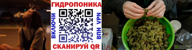 Шишки марихуана план Обнинск
